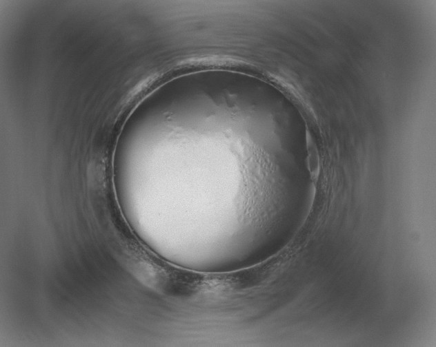 X0000079300111200612011800