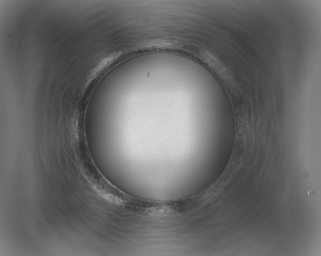 X0000079300112200612011800