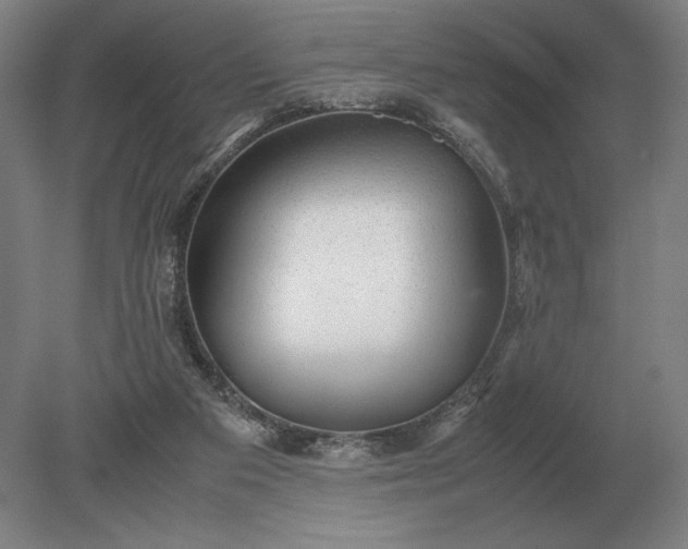 X0000079300113200612011800