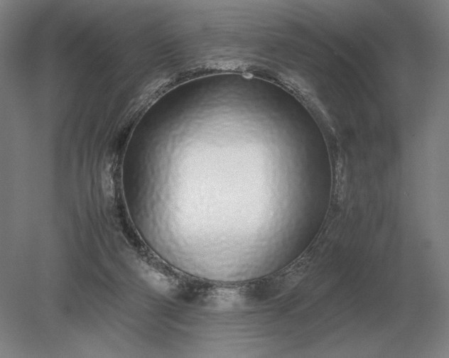 X0000079300114200612011800