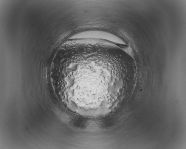 X0000079300115200612011800