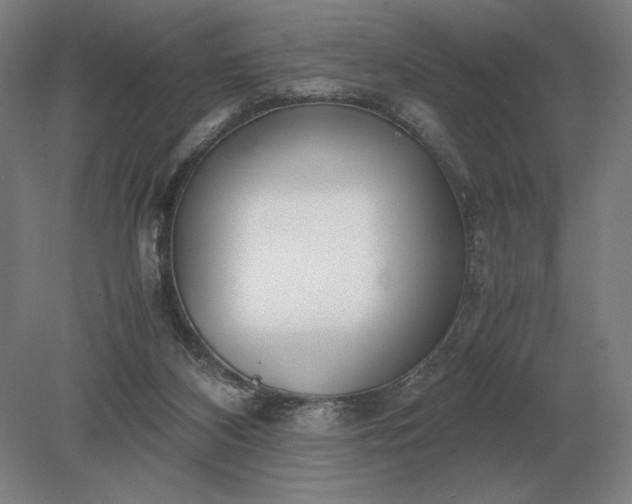 X0000079300116200612011800