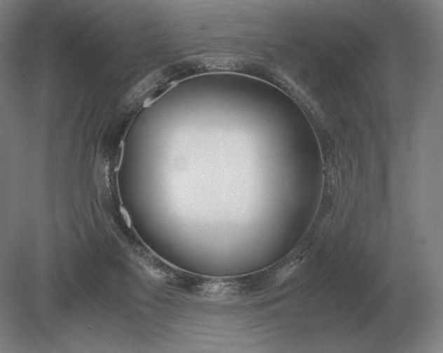 X0000079300117200612011800