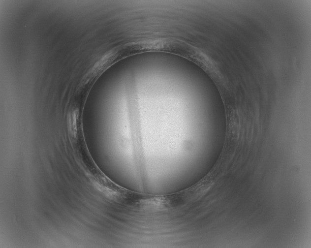 X0000079300118200612011800