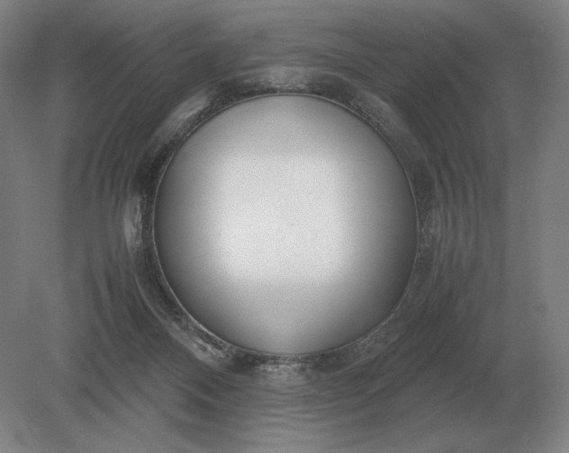 X0000079300120200612011800
