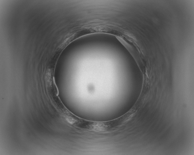 X0000079300121200612011800