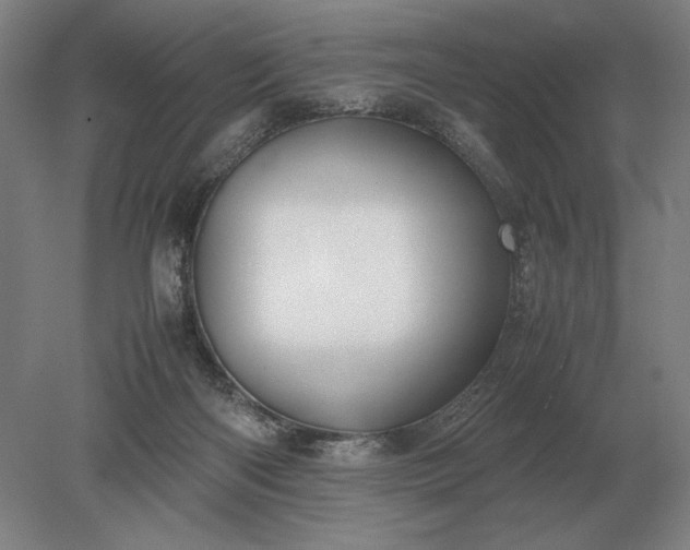 X0000079300122200612011800