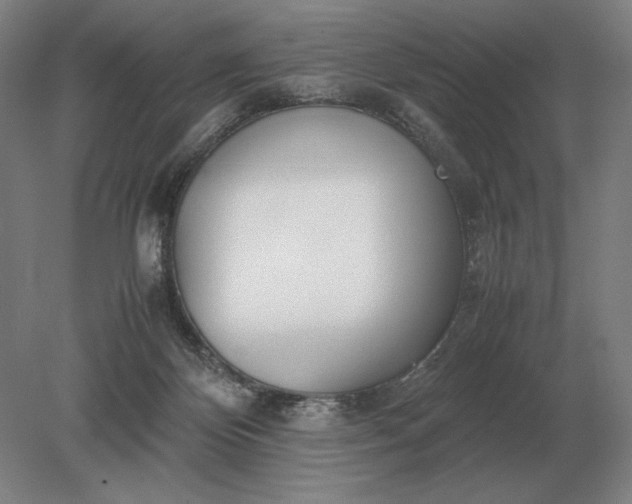 X0000079300124200612011800
