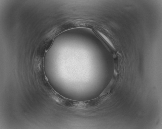 X0000079300125200612011759