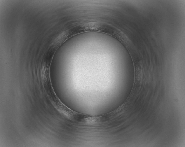 X0000079300126200612011759