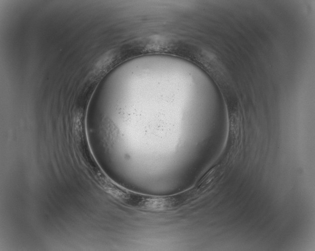 X0000079300127200612011759