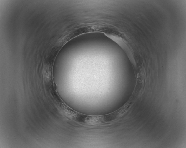 X0000079300129200612011759