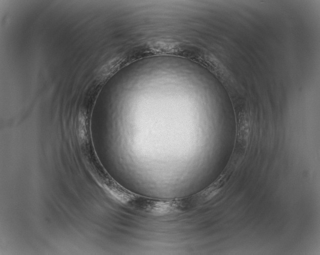 X0000079300130200612011759