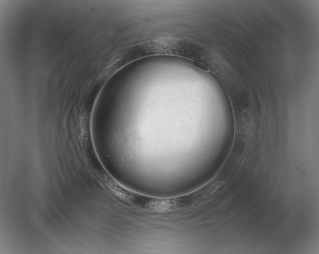 X0000079300131200612011759