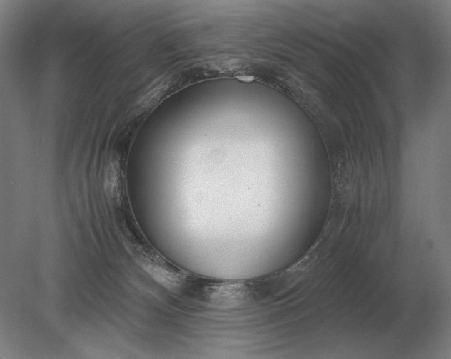 X0000079300132200612011759