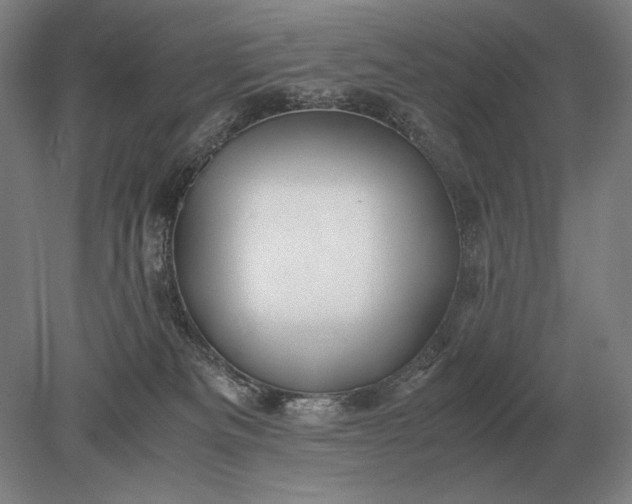 X0000079300133200612011759