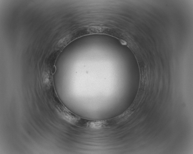 X0000079300134200612011759