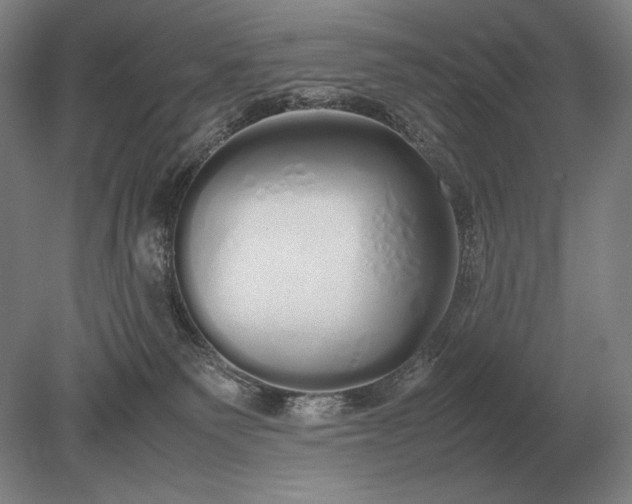 X0000079300135200612011759