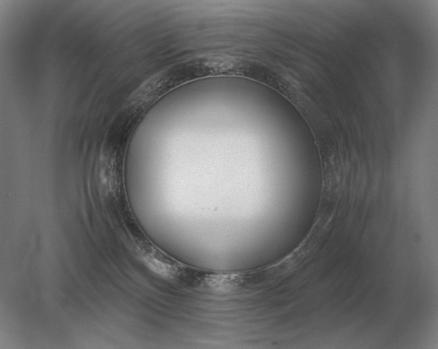 X0000079300136200612011759