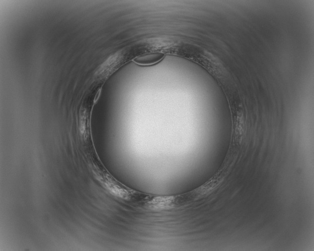 X0000079300138200612011759