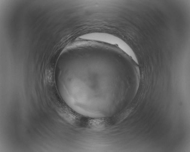 X0000079300139200612011759