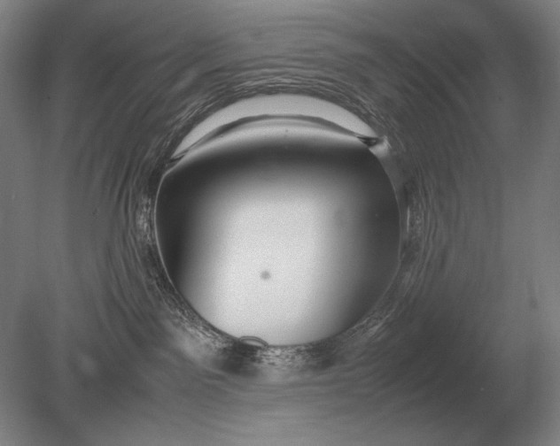 X0000079300141200612011759