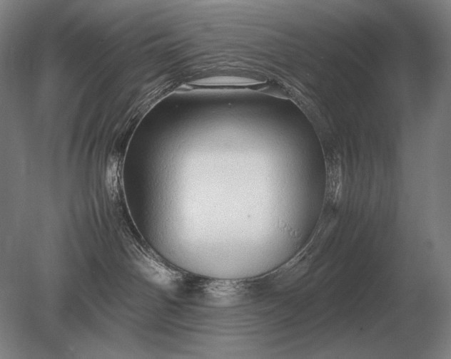 X0000079300142200612011759