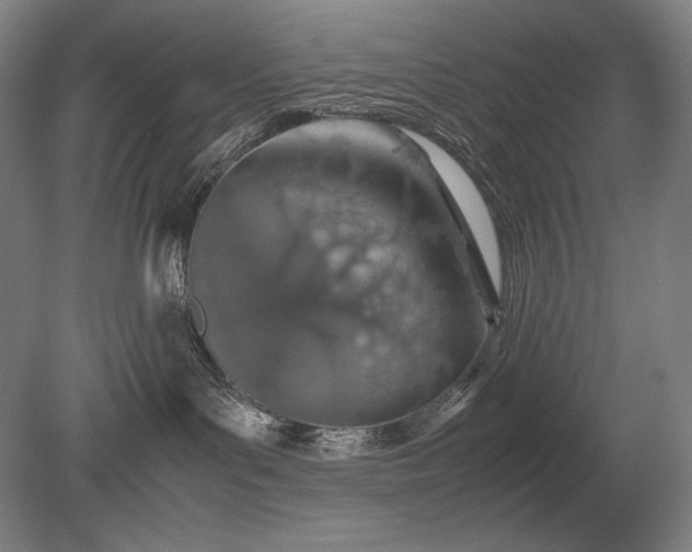 X0000079300143200612011759