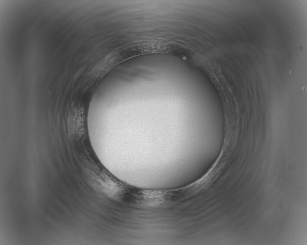X0000079300144200612011759