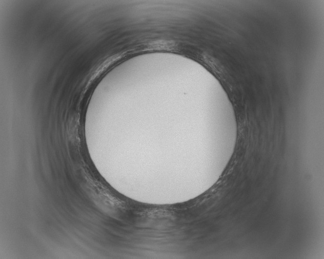 X0000079300146200612011758