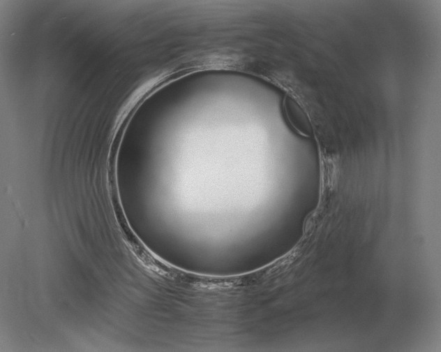X0000079300147200612011758