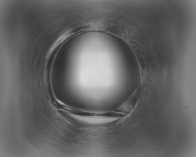 X0000079300150200612011758