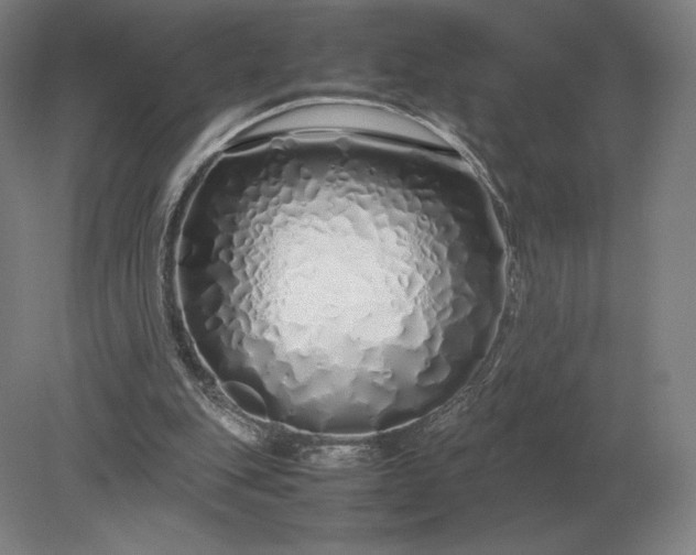 X0000079300151200612011758