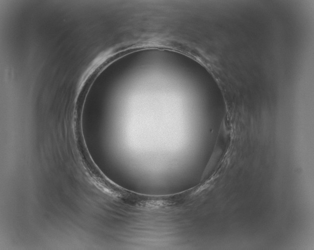 X0000079300152200612011758