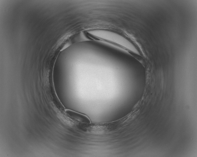 X0000079300154200612011759