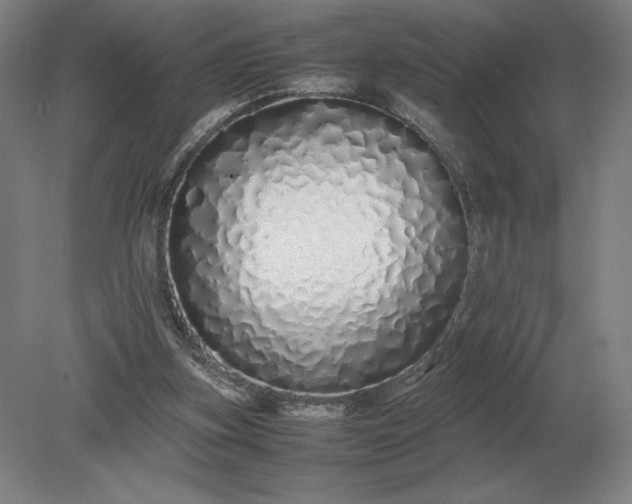 X0000079300155200612011759