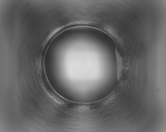 X0000079300156200612011759