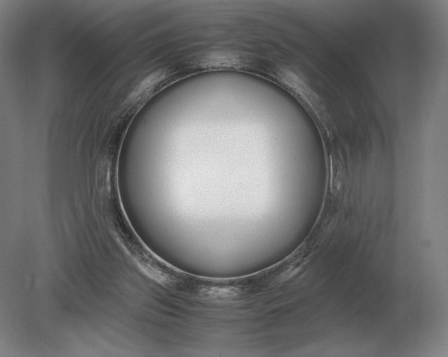X0000079300157200612011759