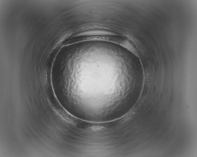 X0000079300158200612011759