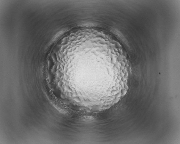 X0000079300159200612011759