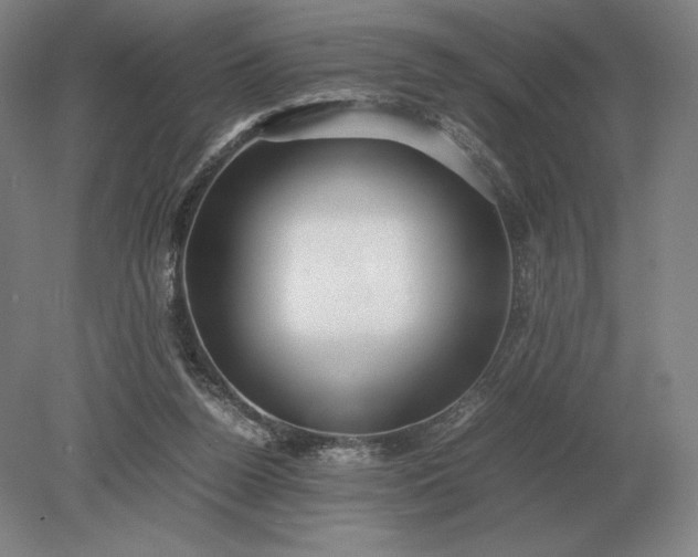 X0000079300160200612011759