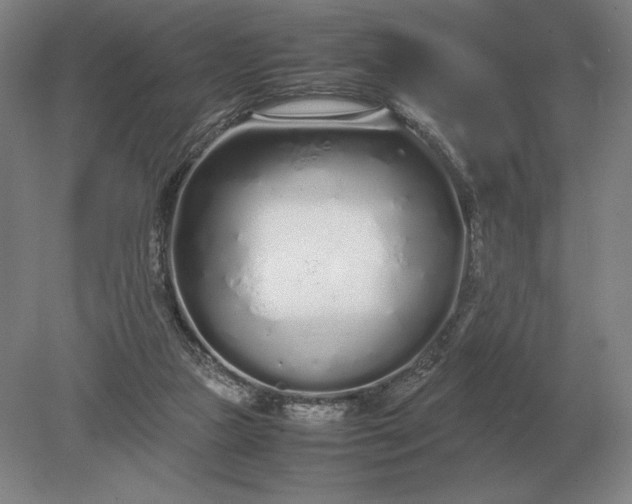 X0000079300161200612011759
