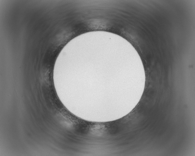 X0000079300162200612011759