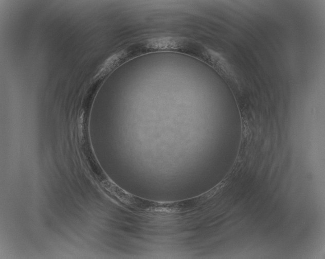 X0000079300163200612011759