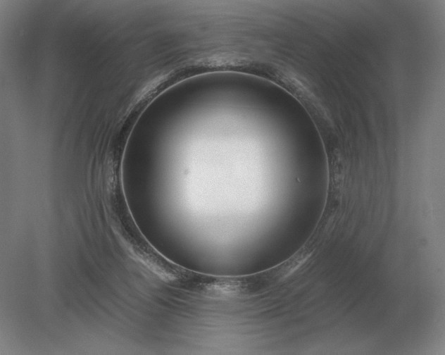 X0000079300164200612011759