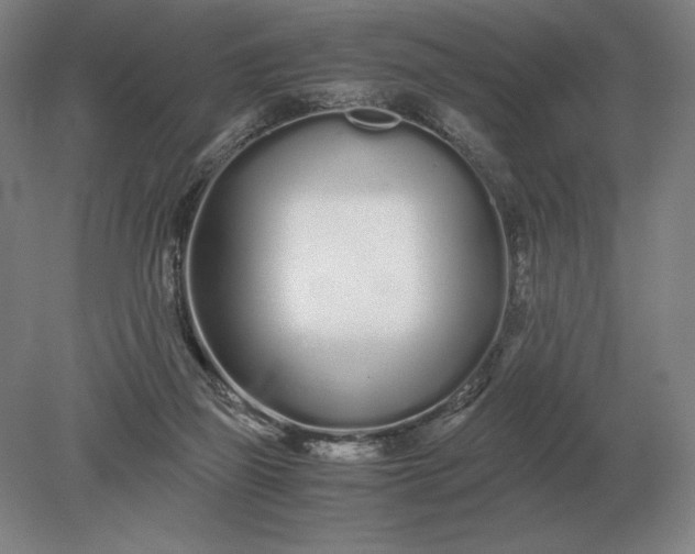 X0000079300165200612011759