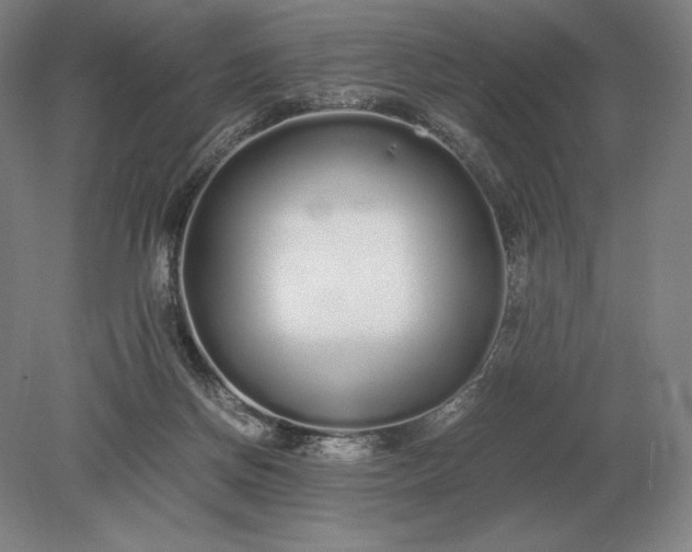 X0000079300166200612011759
