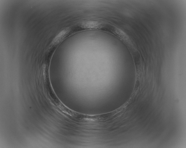 X0000079300167200612011759