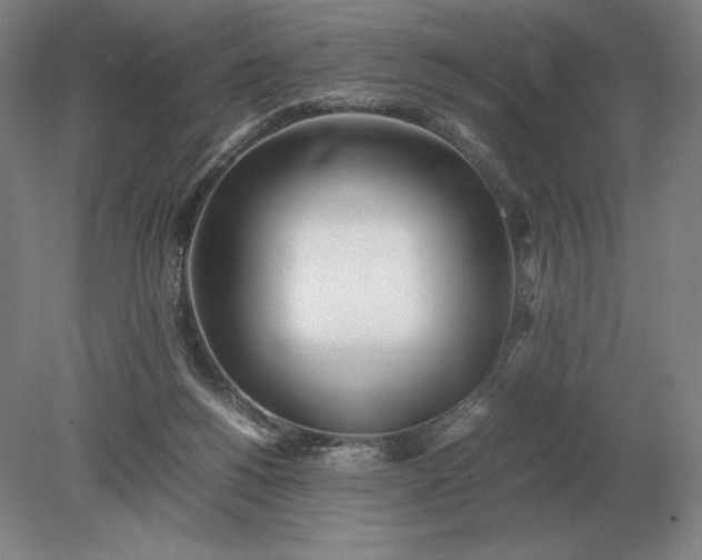X0000079300168200612011759