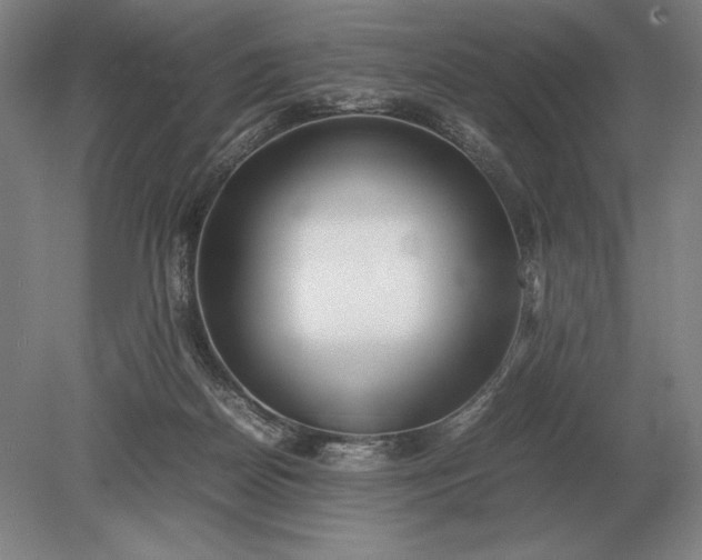 X0000079300170200612011759
